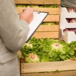 Qualità e sicurezza alimentare nei servizi di catering: normative e buone pratiche